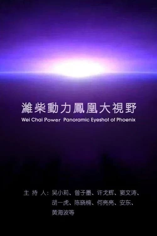 凤凰大视野 poster