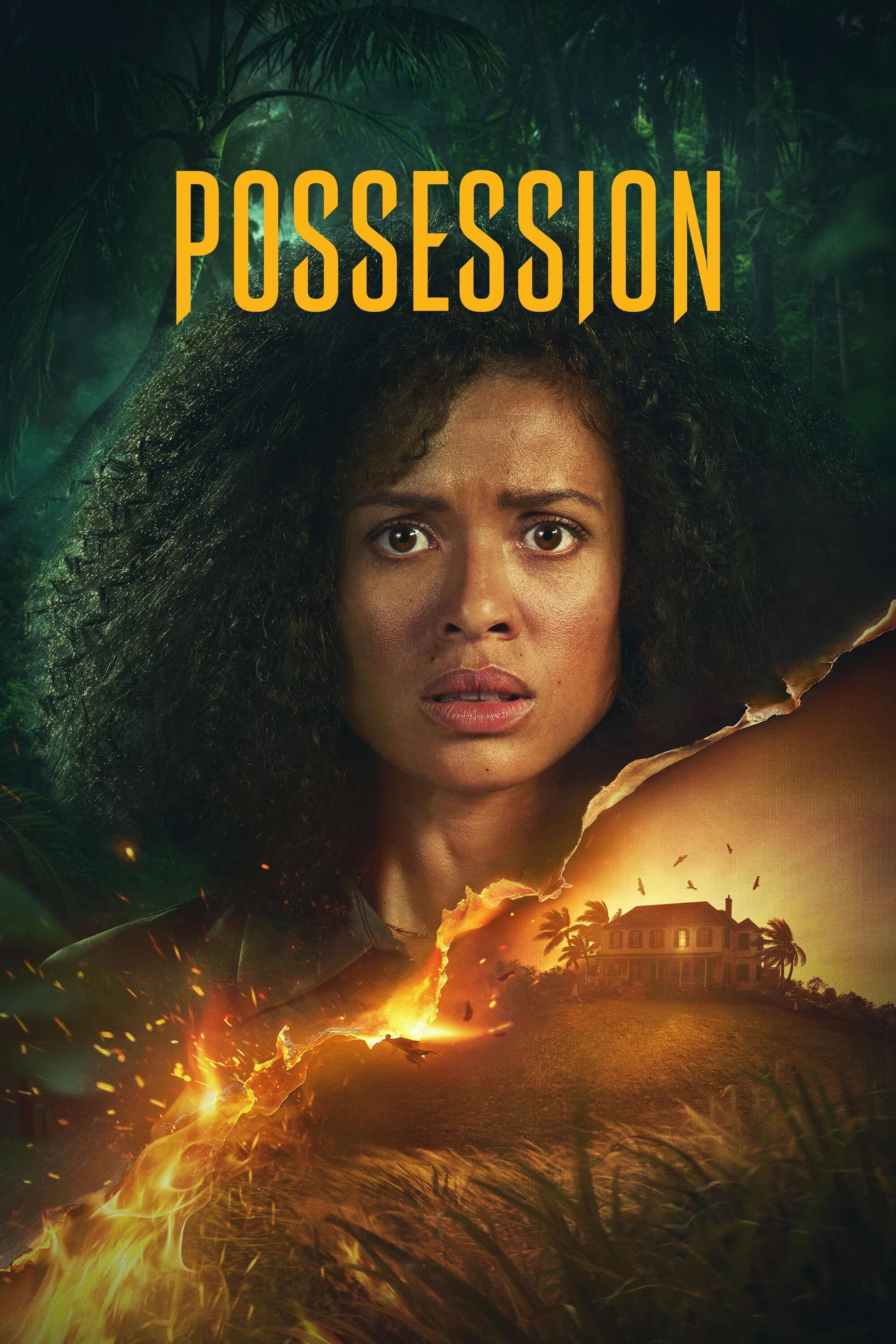 Possession poster