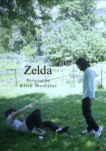 Zelda poster