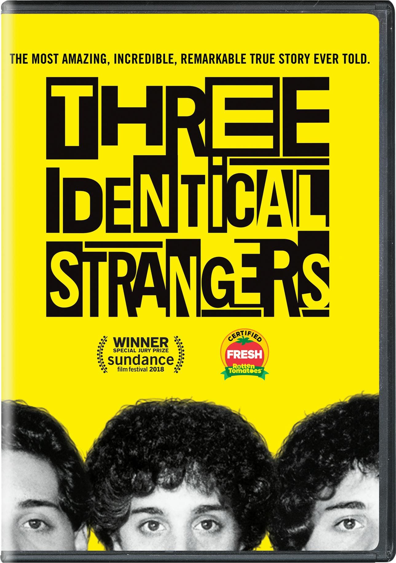 Three Identical Strangers poster