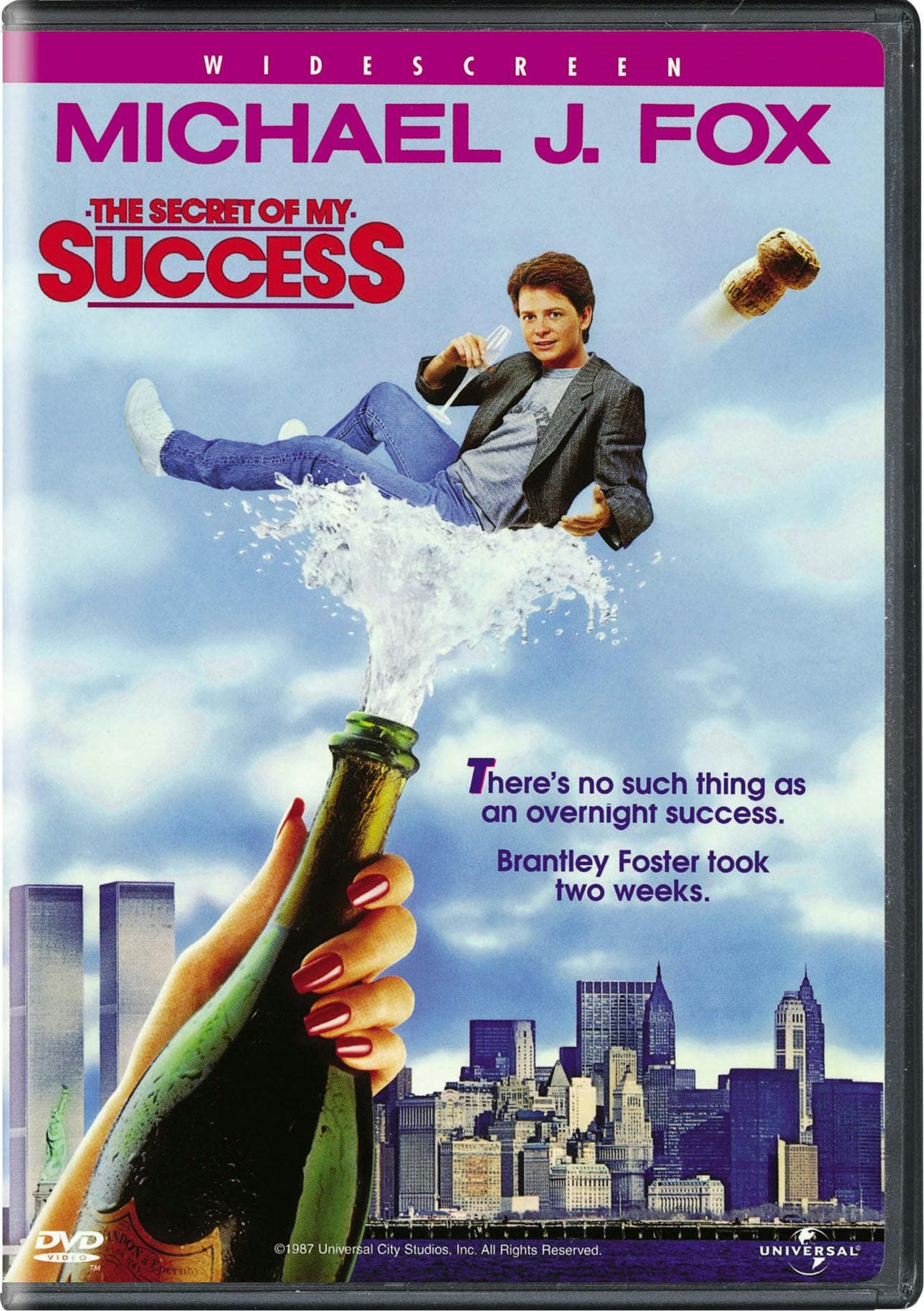 The Secret of My Success poster