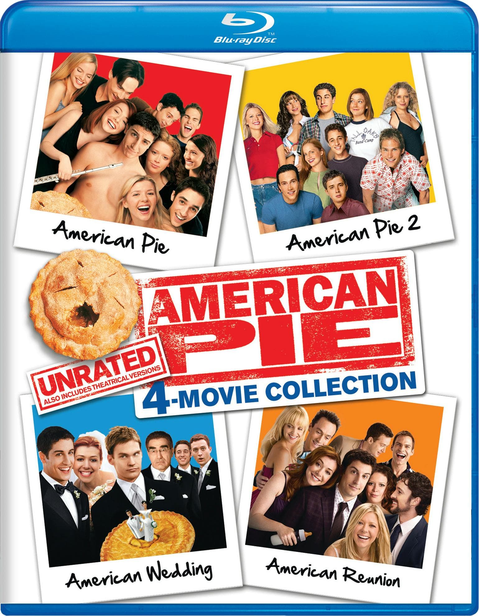 American Pie: 4 Play poster