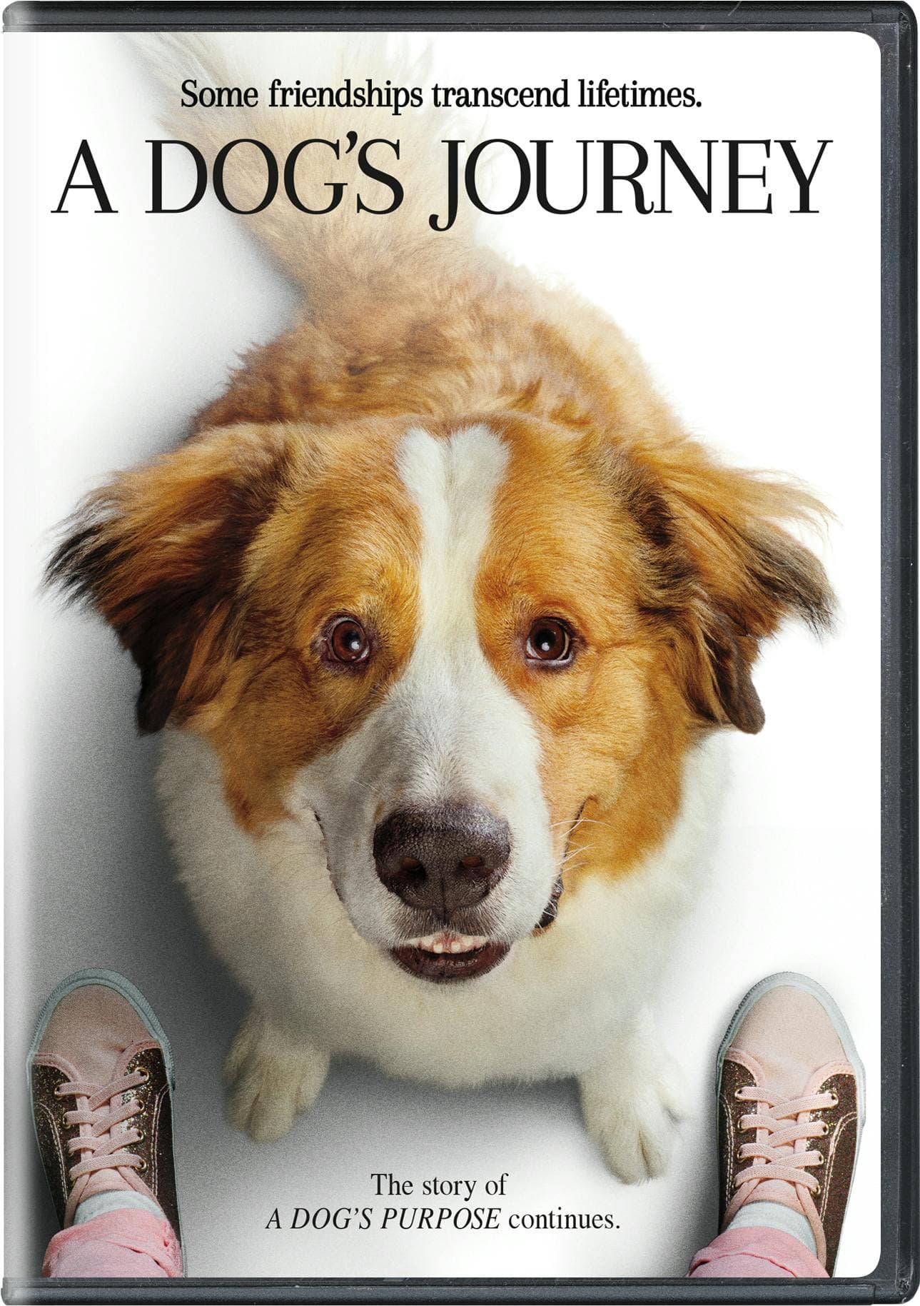 A Dog's Journey poster