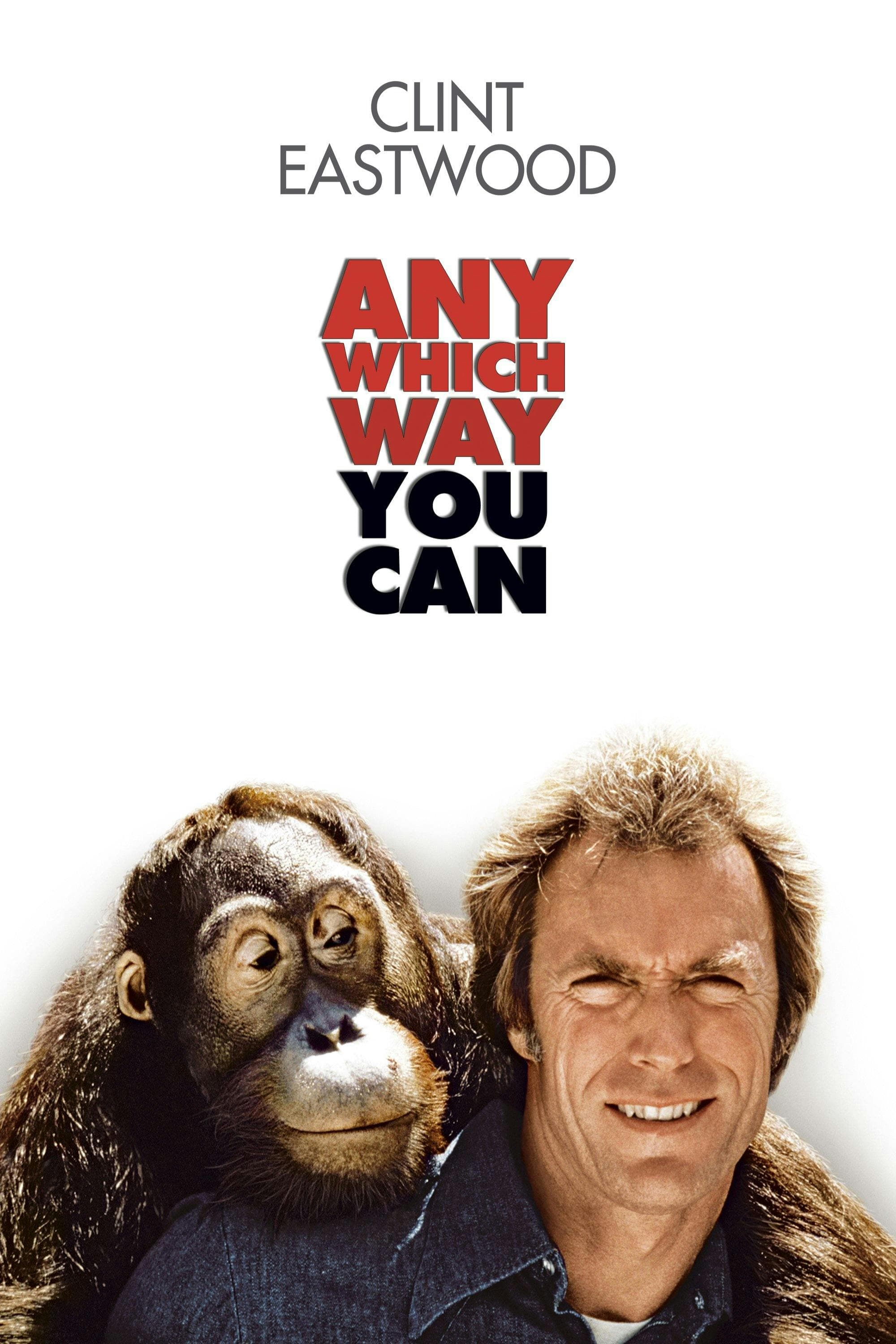 Any Which Way You Can poster