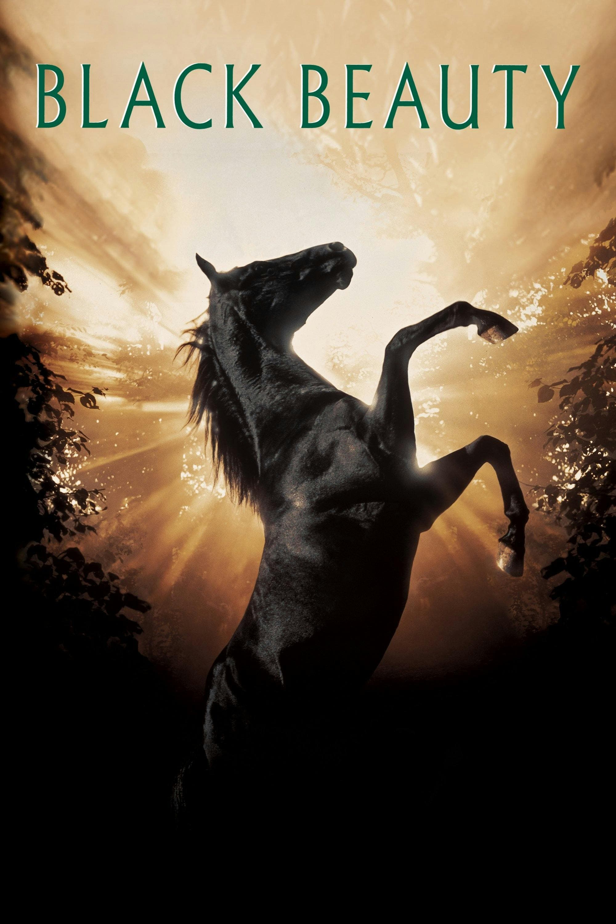 Black Beauty poster