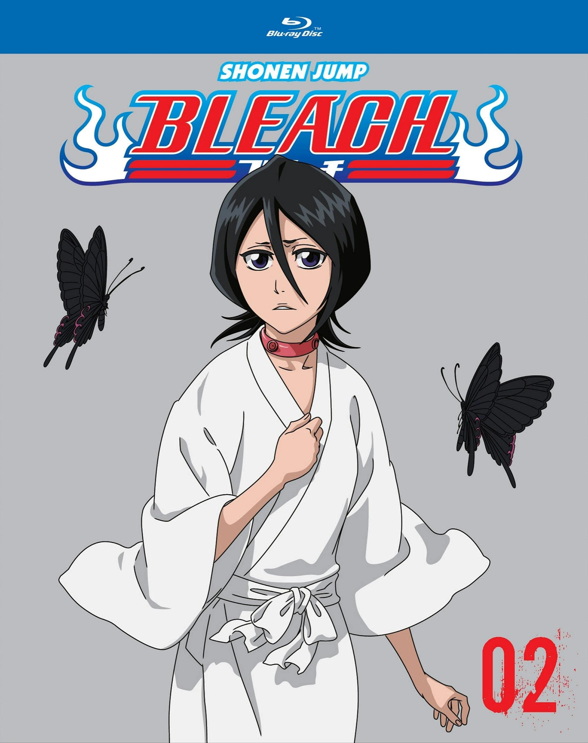 Bleach: Set 2 (Collection) (Box Set) poster