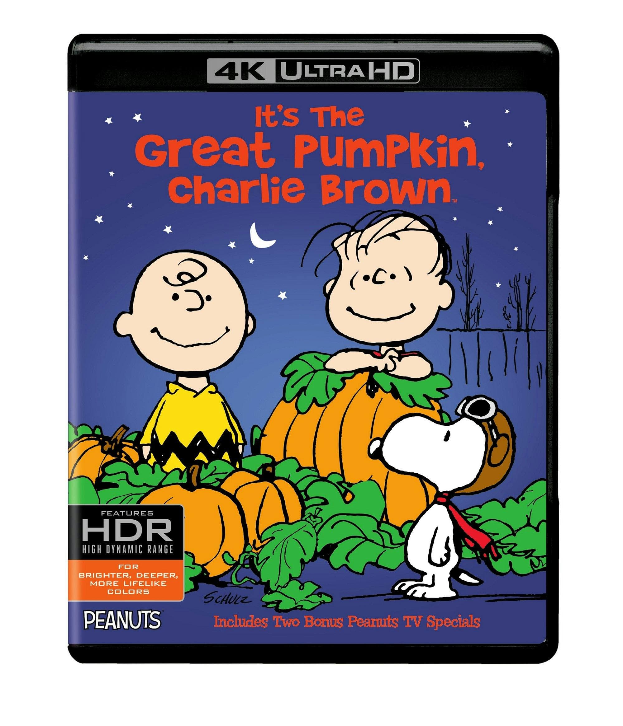 It's the Great Pumpkin, Charlie Brown poster