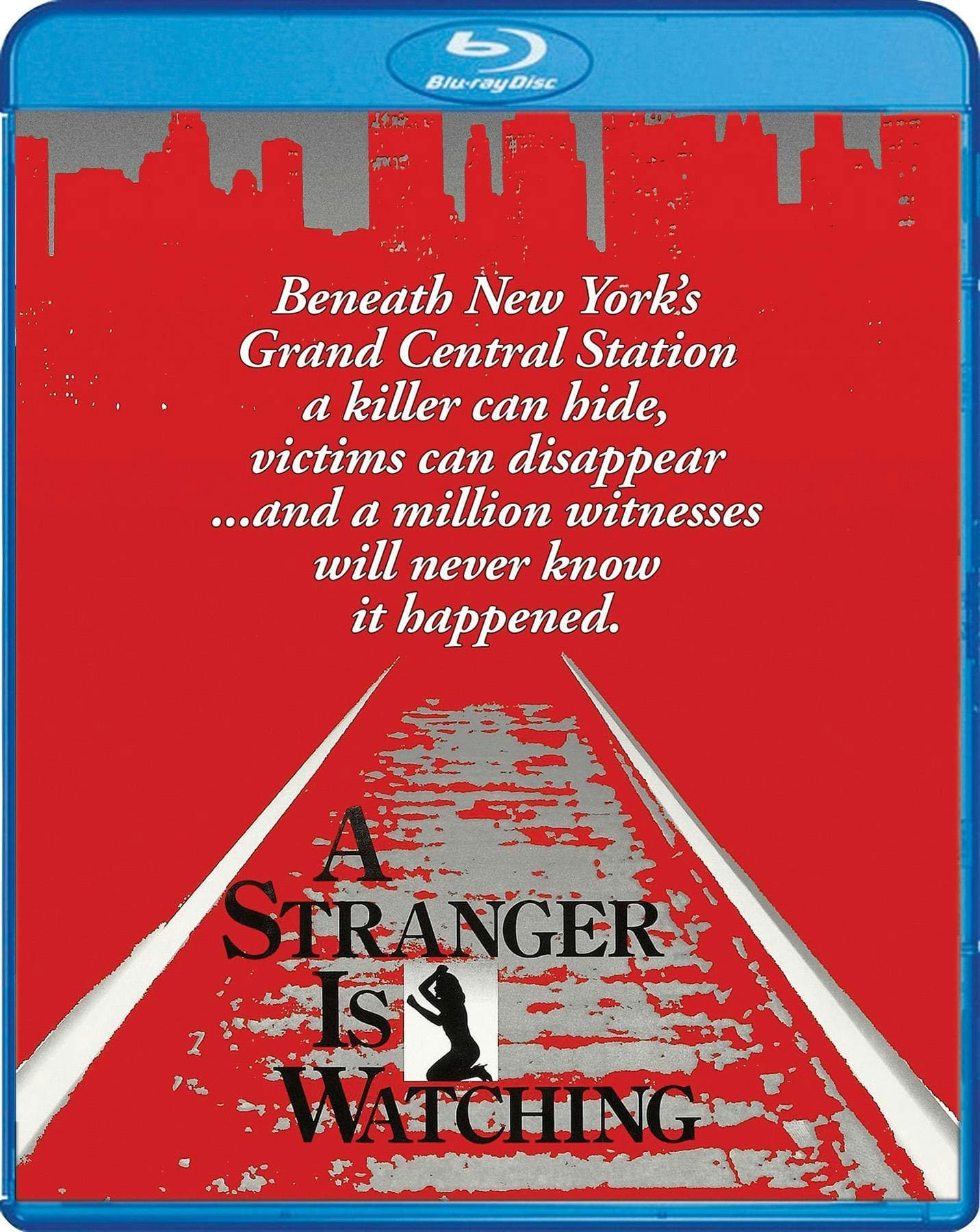 A Stranger Is Watching poster