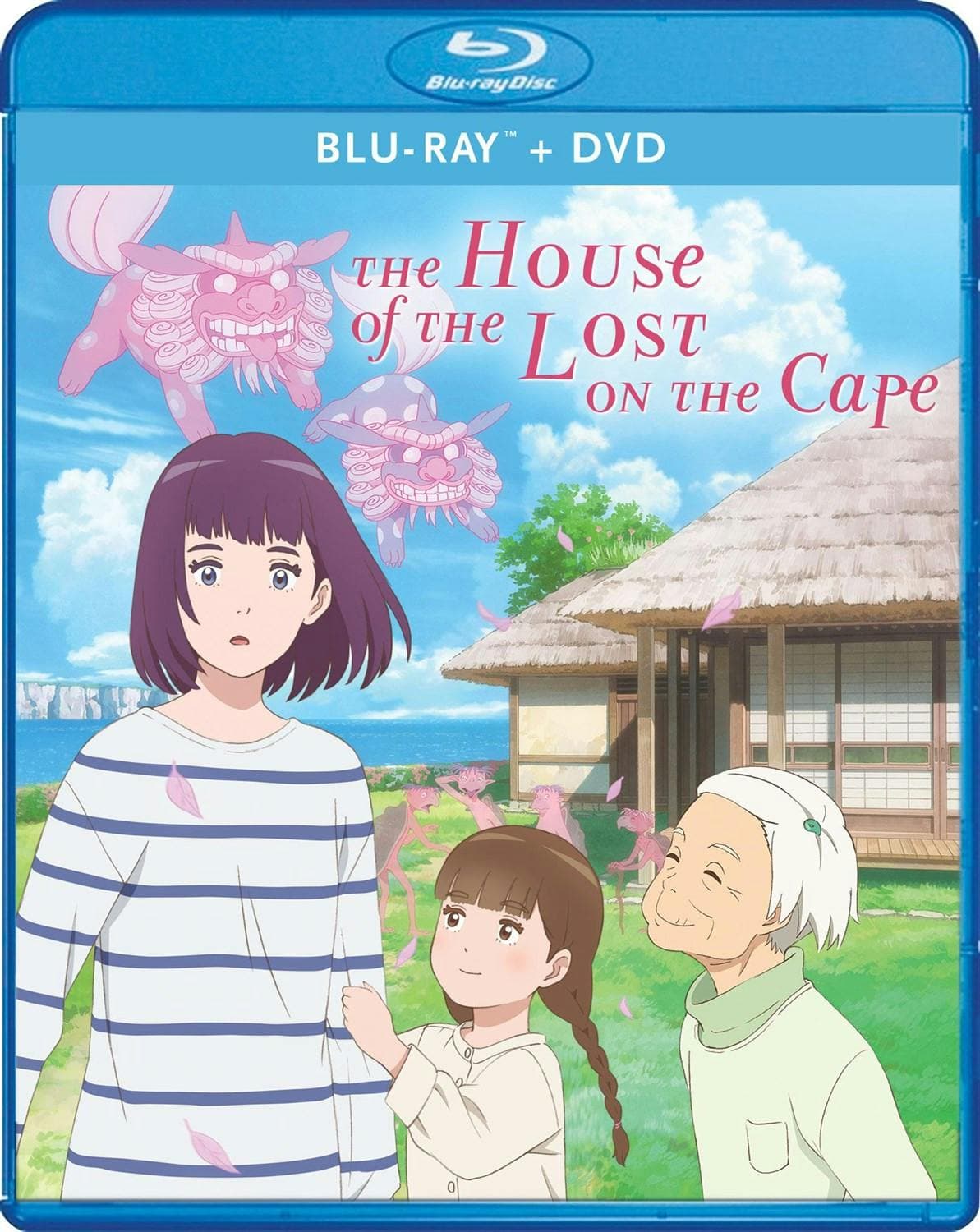 The House Of The Lost On The Cape poster