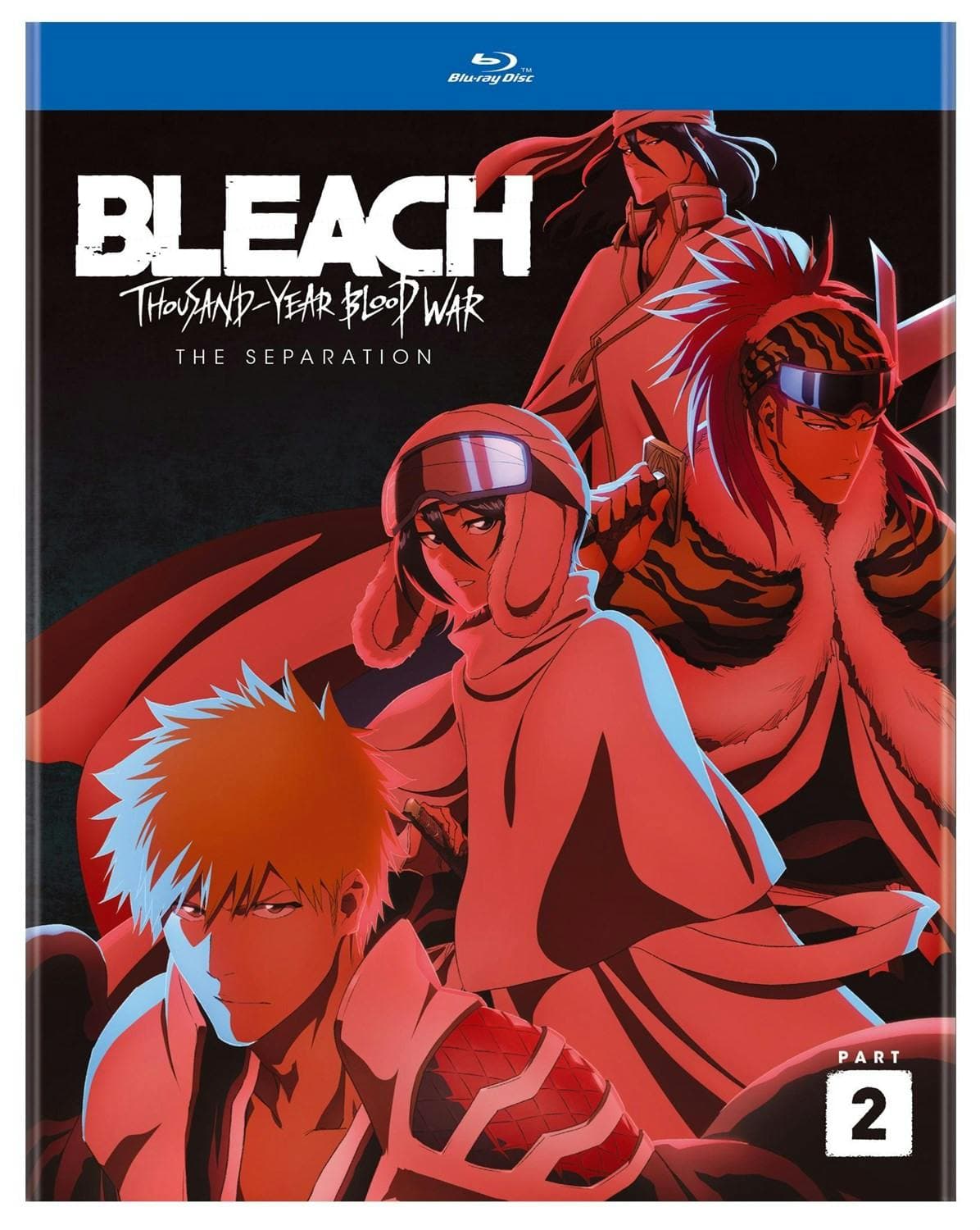 BLEACH: Thousand-Year Blood War Part 2 Standard Edition poster
