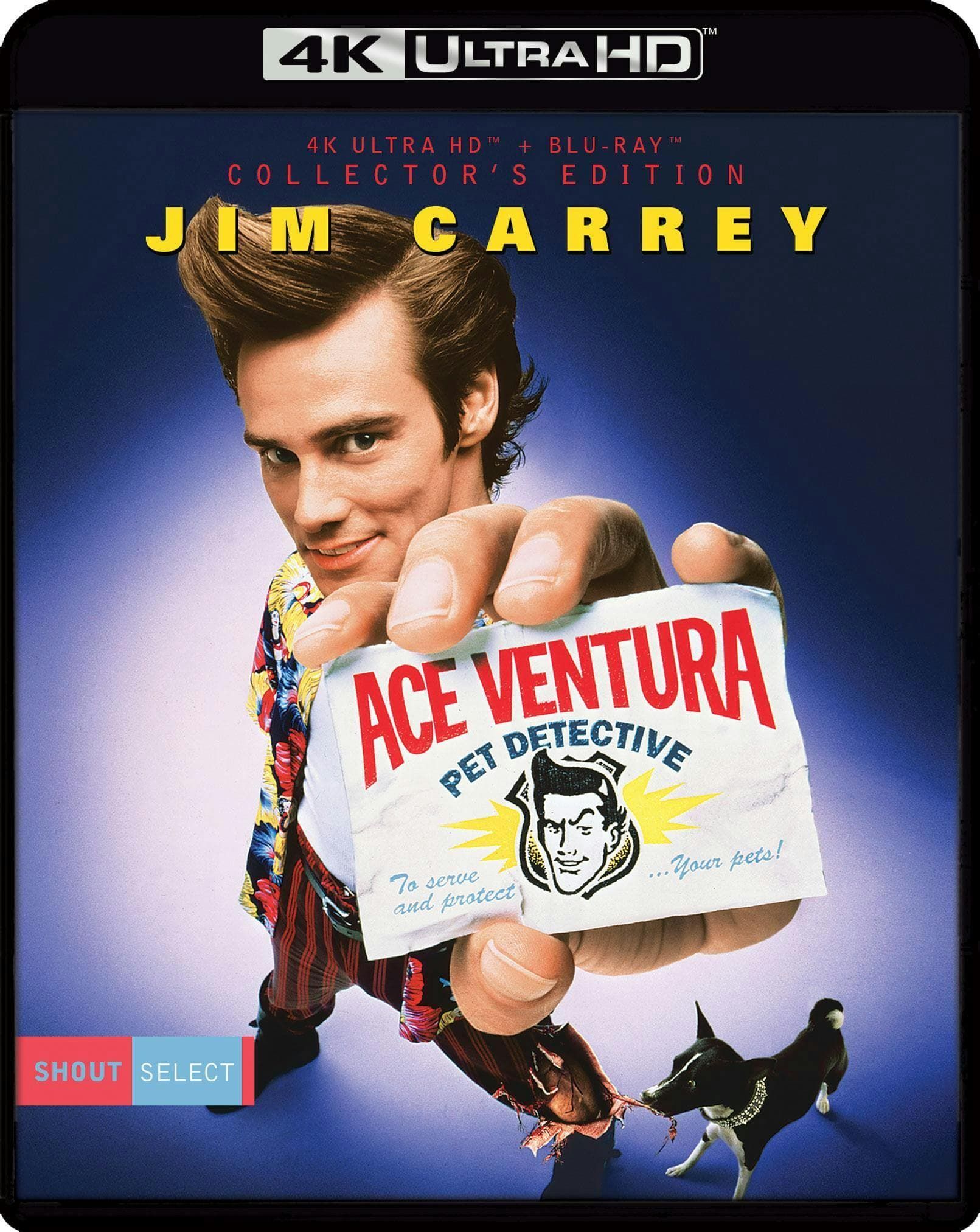 Ace Ventura: Pet Detective poster