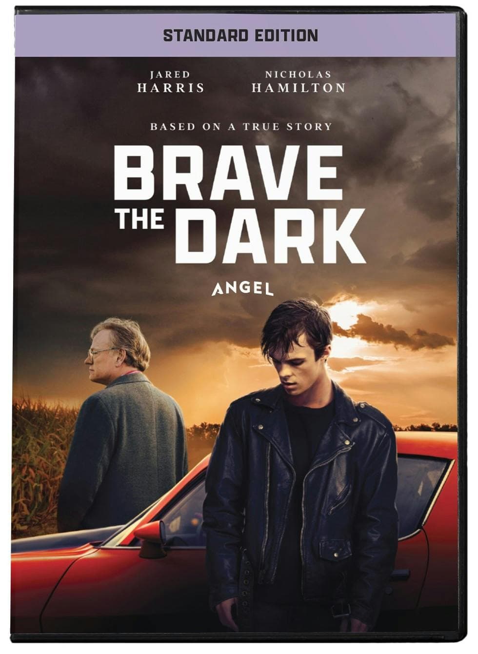 Brave the Dark poster