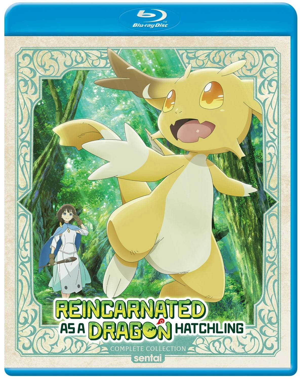 Reincarnated as a Dragon Hatchling Complete Collection poster