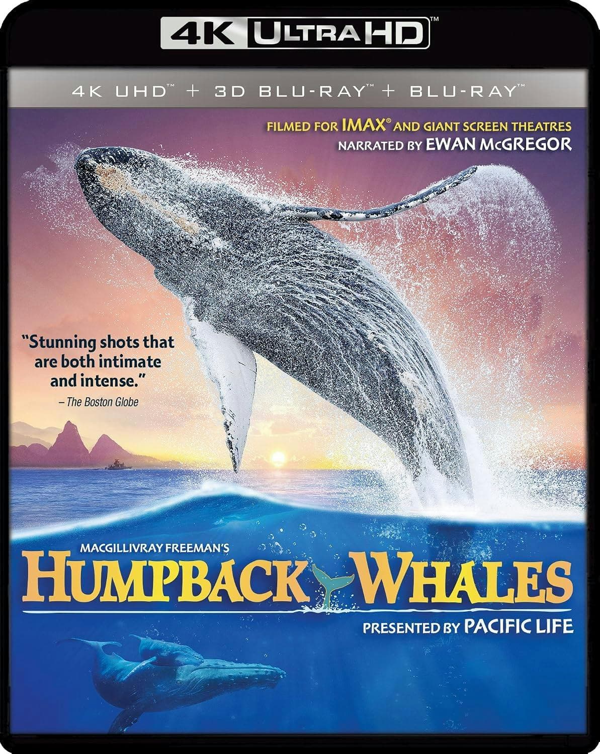 Humpback Whales poster