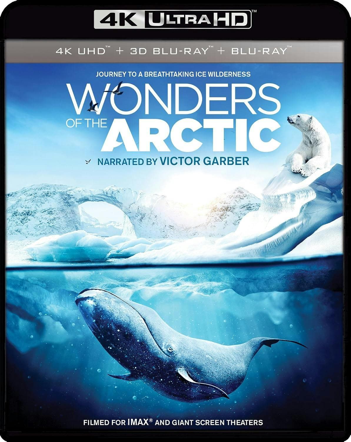 Wonders Of The Arctic poster