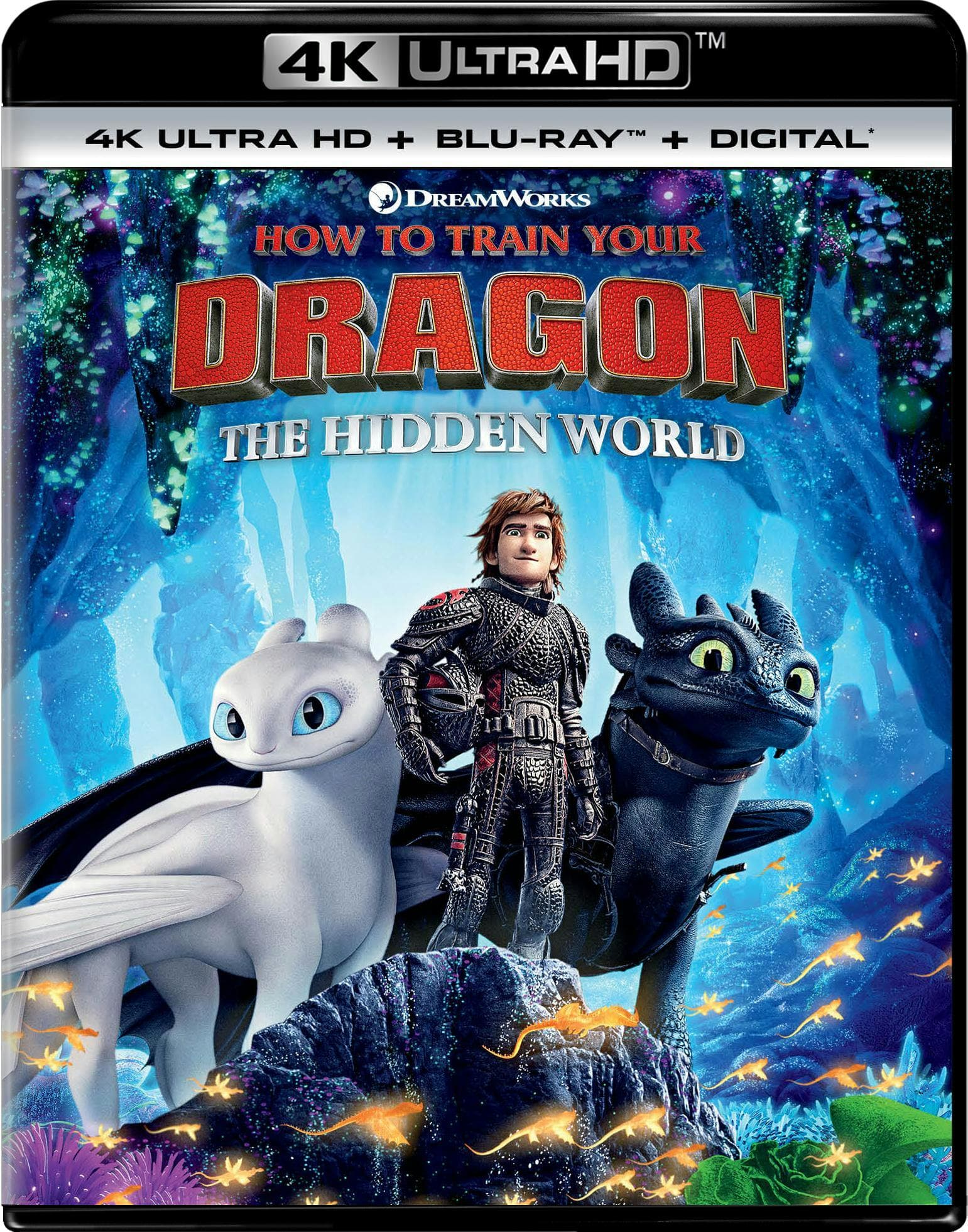 How to Train Your Dragon - The Hidden World poster