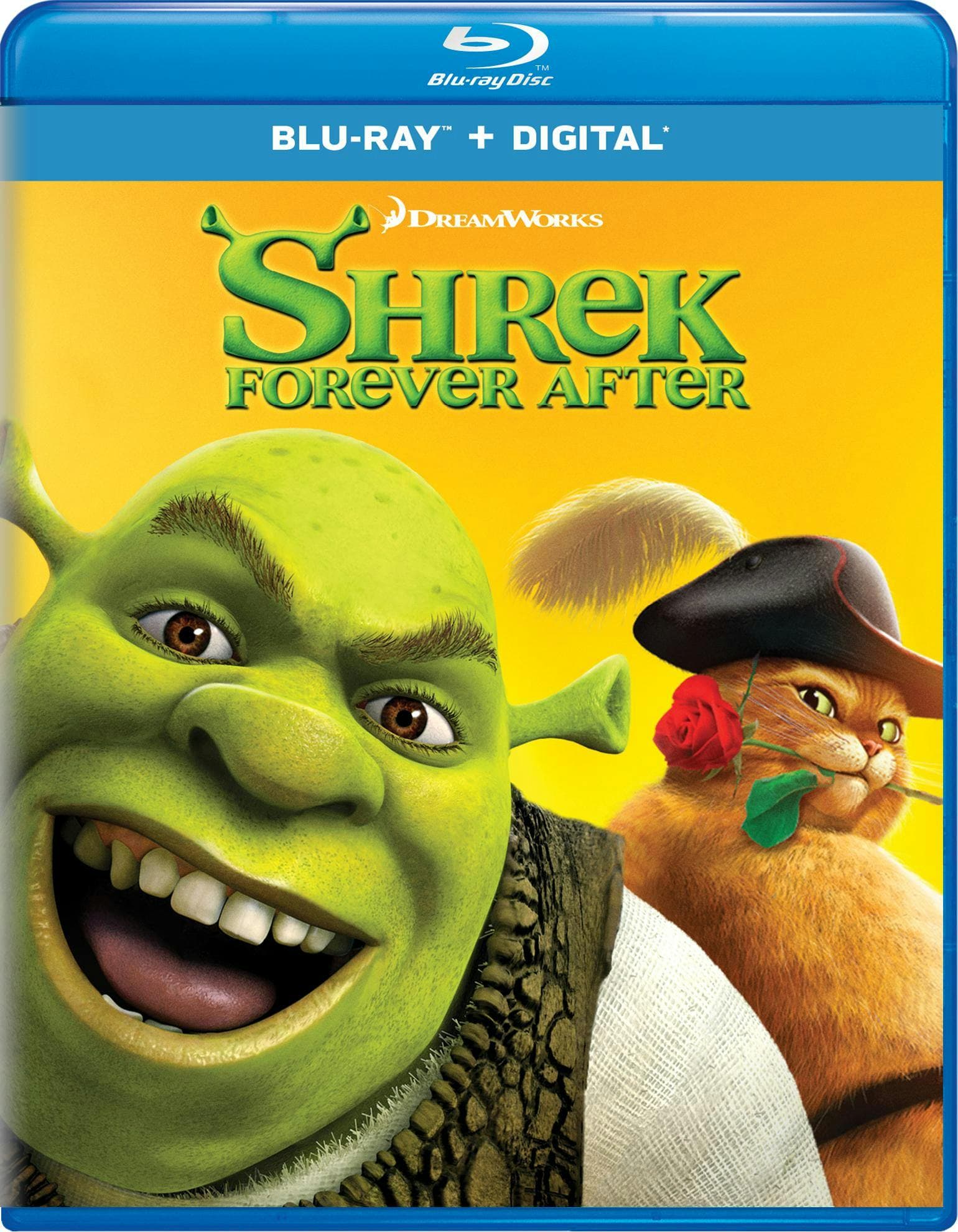 Shrek: Forever After - The Final Chapter poster