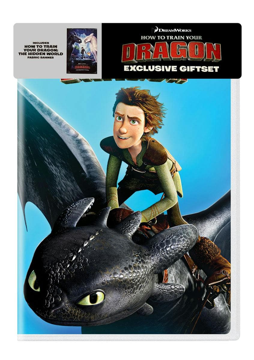 How To Train Your Dragon Gift Set (Includes Fabric Banner) poster