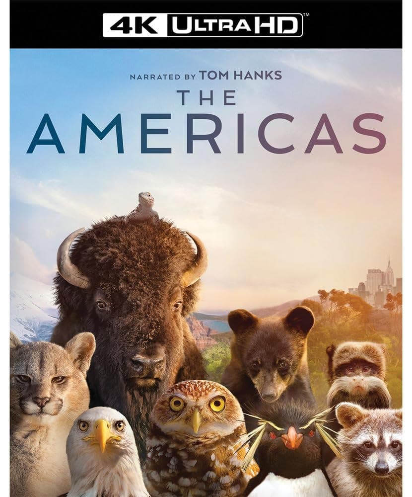 The Americas: Complete Limited Series poster