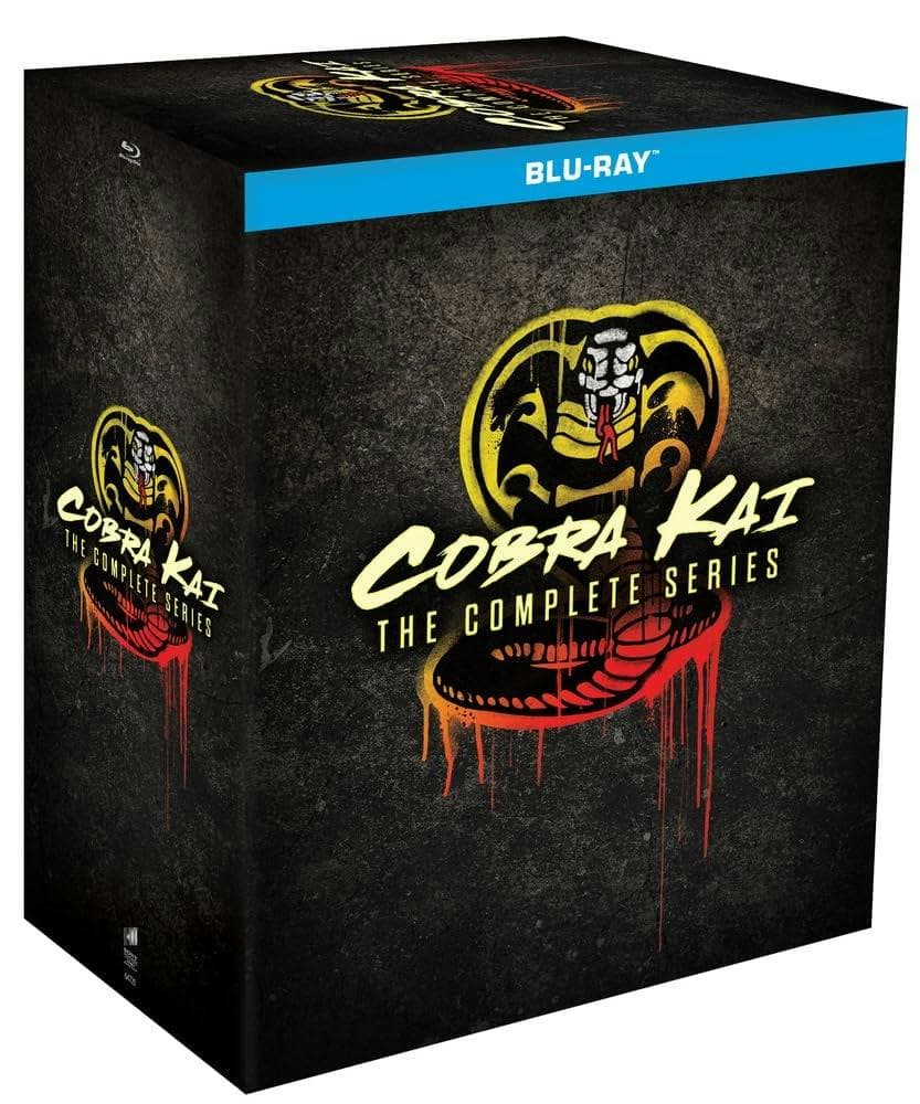 Cobra Kai: The Complete Series poster