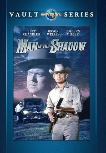 The Man in the Shadow poster