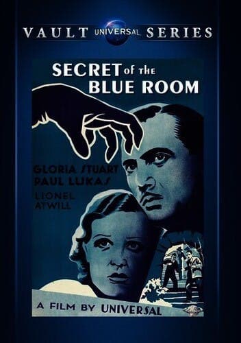Secret of the Blue Room poster