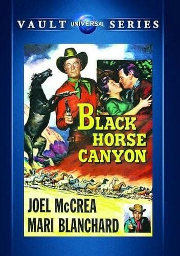 Black Horse Canyon poster