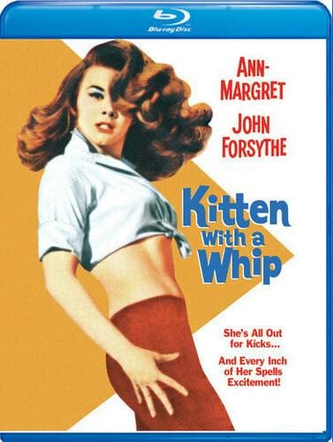 Kitten with a Whip poster