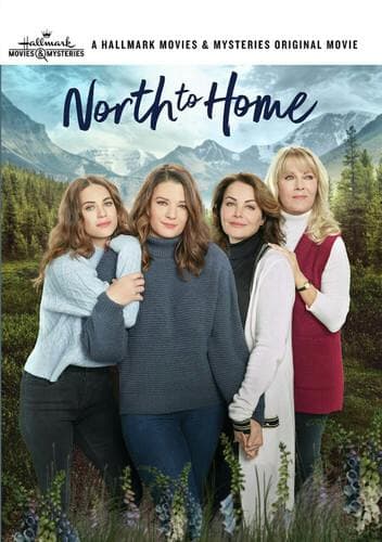 North to Home poster