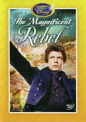The Magnificent Rebel poster