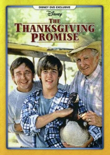 The Thanksgiving Promise poster