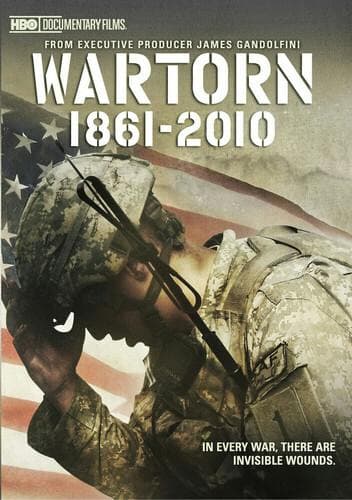 Wartorn 1861-2010 poster