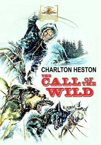 Call Of The Wild poster