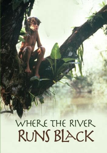 Where The River Runs Black poster