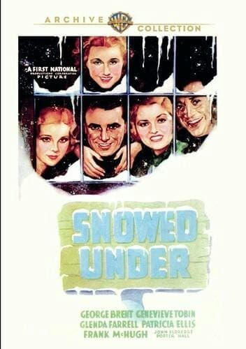 Snowed Under poster