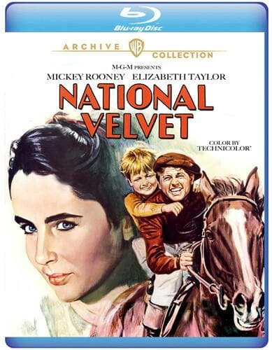 National Velvet poster