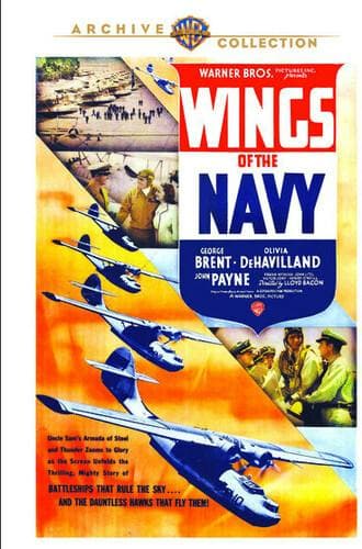 Wings Of The Navy poster