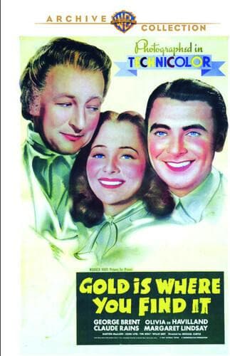 Gold Is Where You Find It poster