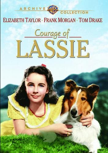 The Courage of Lassie poster
