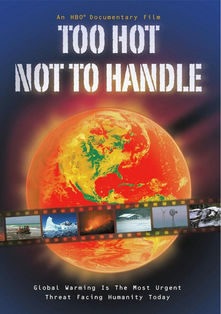 Too Hot Not to Handle poster