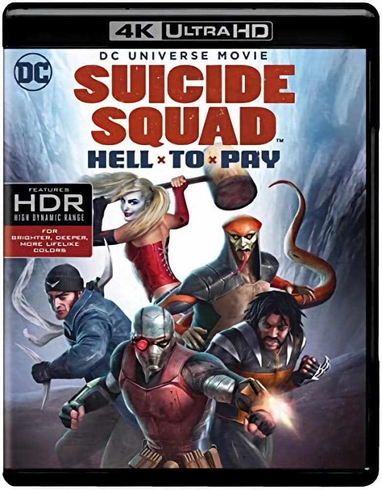 DCU: Suicide Squad: Hell To Pay poster