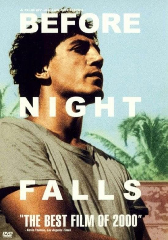 Before Night Falls poster