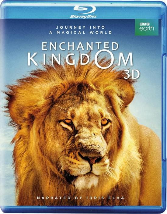 Enchanted Kingdom 3D Combo poster