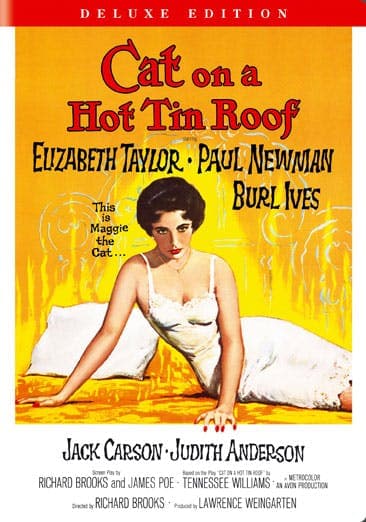 Cat on a Hot Tin Roof poster
