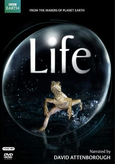 Life poster
