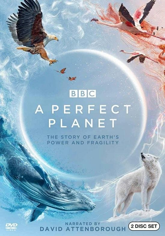 A Perfect Planet poster