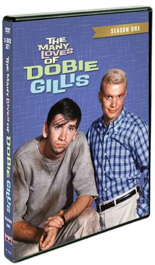 The Many Loves Of Dobie Gillis: Season One poster