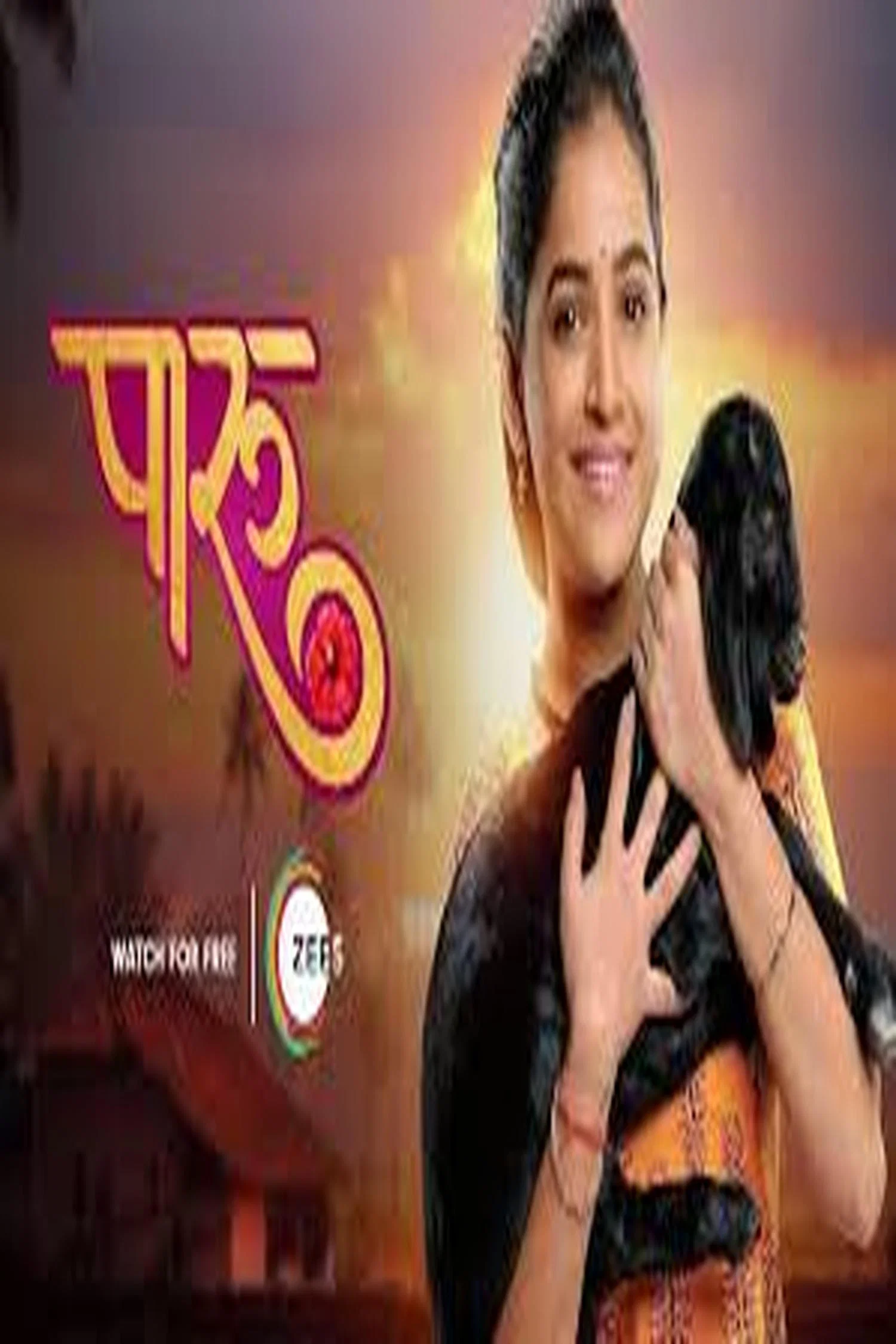 Paaru poster