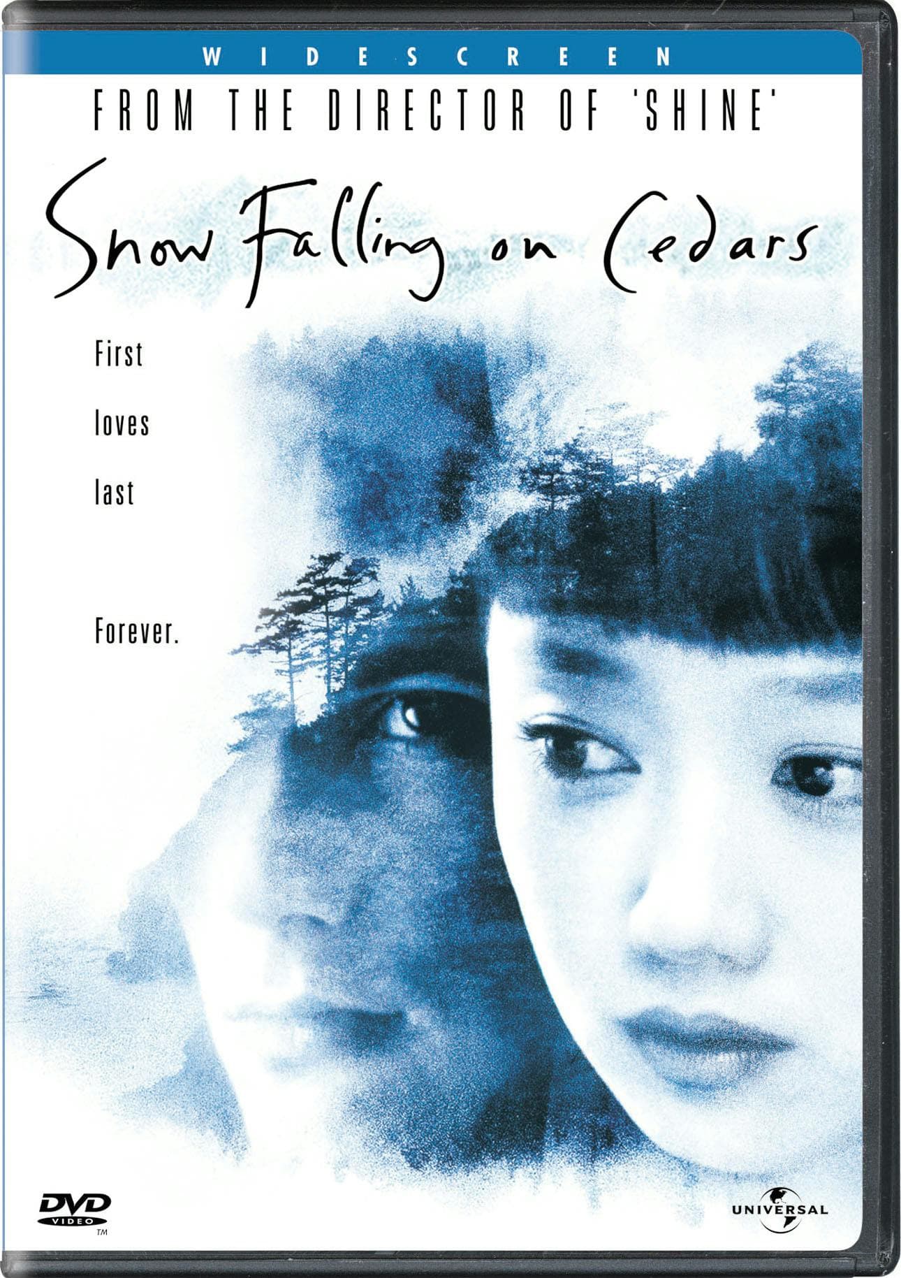 Snow Falling On Cedars poster