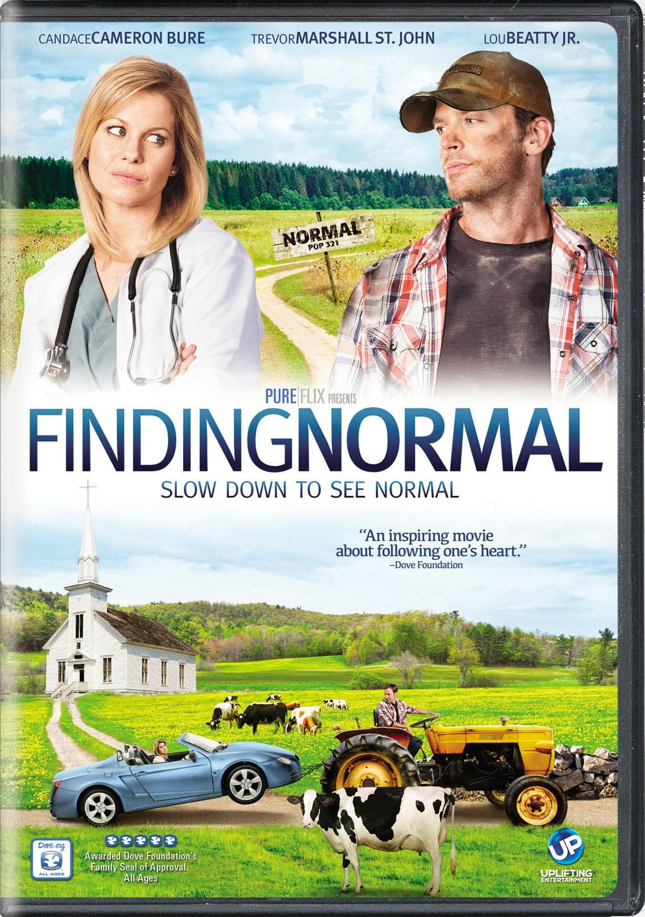 Finding Normal poster